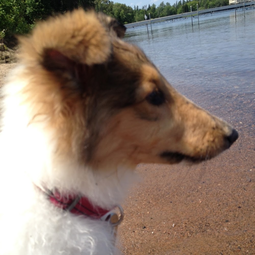 Meet your Posher, Hope